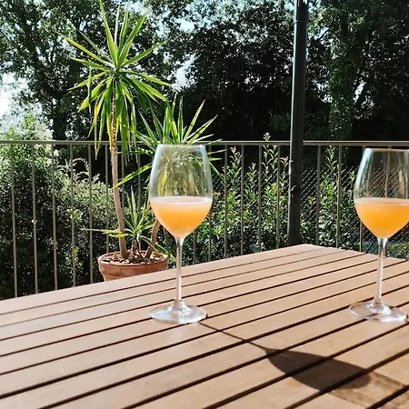 Charmante Maison Avec Jardin Aux Portes Des Gorges De L'ardeche Feriehus Saint-Julien-de-Peyrolas